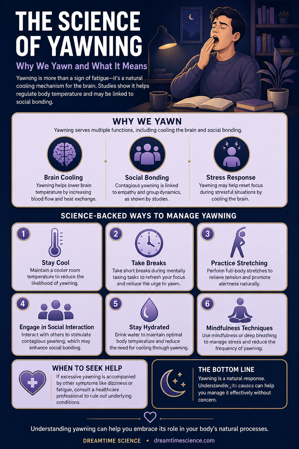 Infographic summarising The Science of Yawning: Why Do We Yawn and What Does It Mean?