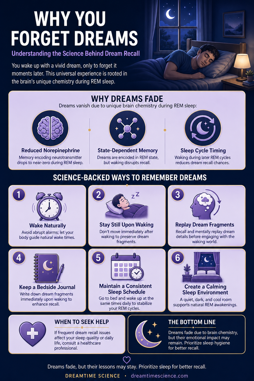 Infographic summarising Why You Forget Dreams Immediately Upon Waking