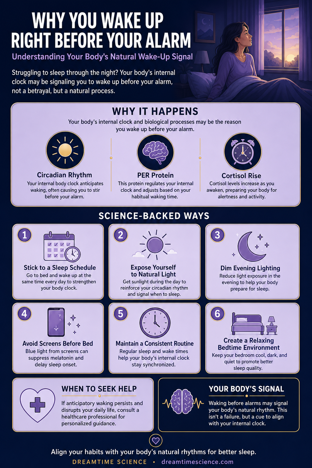 Infographic: Why You Wake Up Right Before Your Alarm